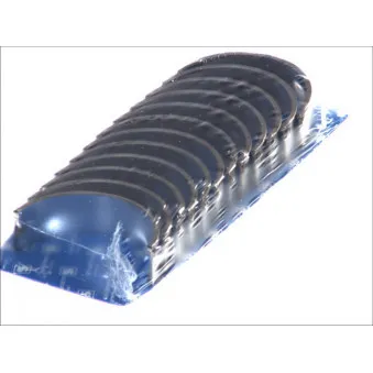 Kit de coussinet de vilebrequin KOLBENSCHMIDT 77209602