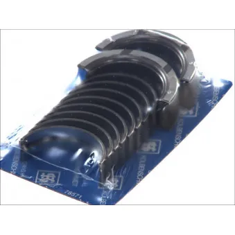 Kit de coussinet de vilebrequin KOLBENSCHMIDT 77533610