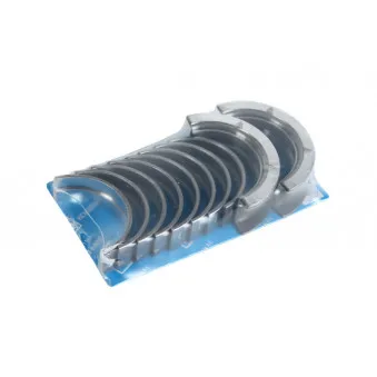 Kit de coussinet de vilebrequin KOLBENSCHMIDT 77558620