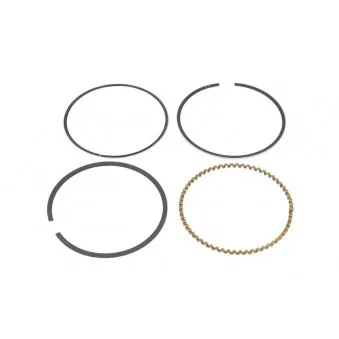 Jeu de segments de pistons KOLBENSCHMIDT 800046110000
