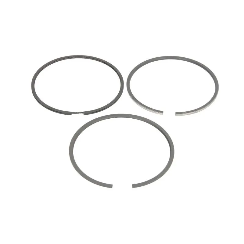 Jeu de segments de pistons KOLBENSCHMIDT 800050610000