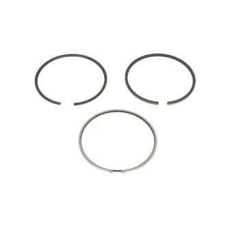 Jeu de segments de pistons KOLBENSCHMIDT 800073210000