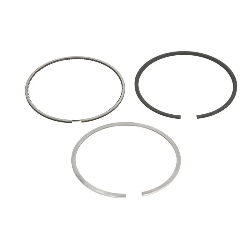 Jeu de segments de pistons KOLBENSCHMIDT 800074610000