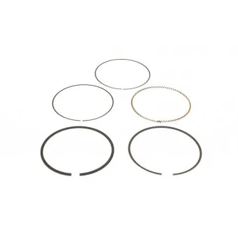 Jeu de segments de pistons KOLBENSCHMIDT 800100110000