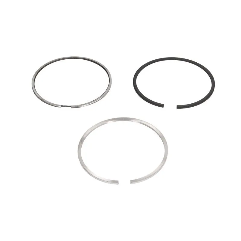 Jeu de segments de pistons KOLBENSCHMIDT 800109010000