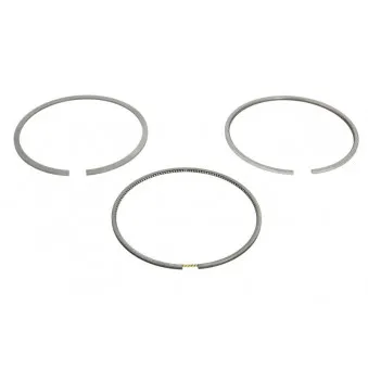 Jeu de segments de pistons KOLBENSCHMIDT 800116310000