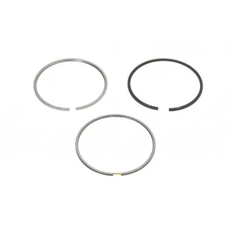Jeu de segments de pistons KOLBENSCHMIDT 800116410000