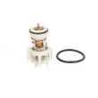 Thermostat d'eau THERMOTEC D2A010TT - Visuel 1