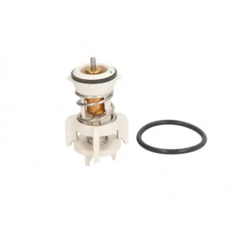 Thermostat d'eau THERMOTEC D2A010TT