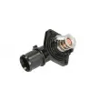 Thermostat d'eau THERMOTEC D2C012TT - Visuel 2
