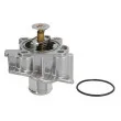 Thermostat d'eau THERMOTEC D2F011TT - Visuel 1