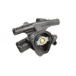 Thermostat d'eau THERMOTEC D2R017TT - Visuel 3