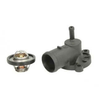 Thermostat d'eau THERMOTEC D2S003TT