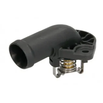 Thermostat d'eau THERMOTEC D2T004TT