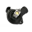 Thermostat d'eau THERMOTEC D2T004TT - Visuel 2