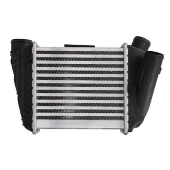 Intercooler, échangeur THERMOTEC DAA002TT