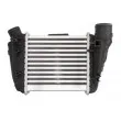 Intercooler, échangeur THERMOTEC DAA002TT - Visuel 2