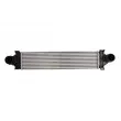 Intercooler, échangeur THERMOTEC DAI002TT - Visuel 1