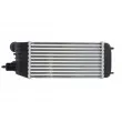 Intercooler, échangeur THERMOTEC DAP006TT - Visuel 2