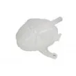 Vase d'expansion, liquide de refroidissement THERMOTEC DBX013TT - Visuel 2