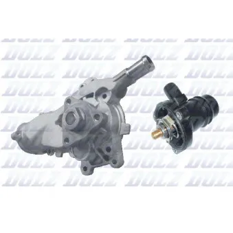 Pompe à eau DOLZ O267T1