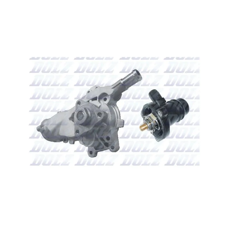 Pompe à eau DOLZ O267T1