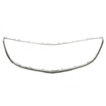 Baguette et bande protectrice, grille de radiateur BLIC 6502-07-5079999P
