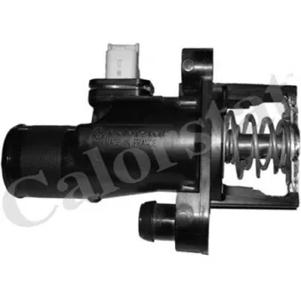 Thermostat, liquide de refroidissement CALORSTAT BY VERNET