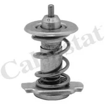 Thermostat, liquide de refroidissement CALORSTAT BY VERNET TH9780.85