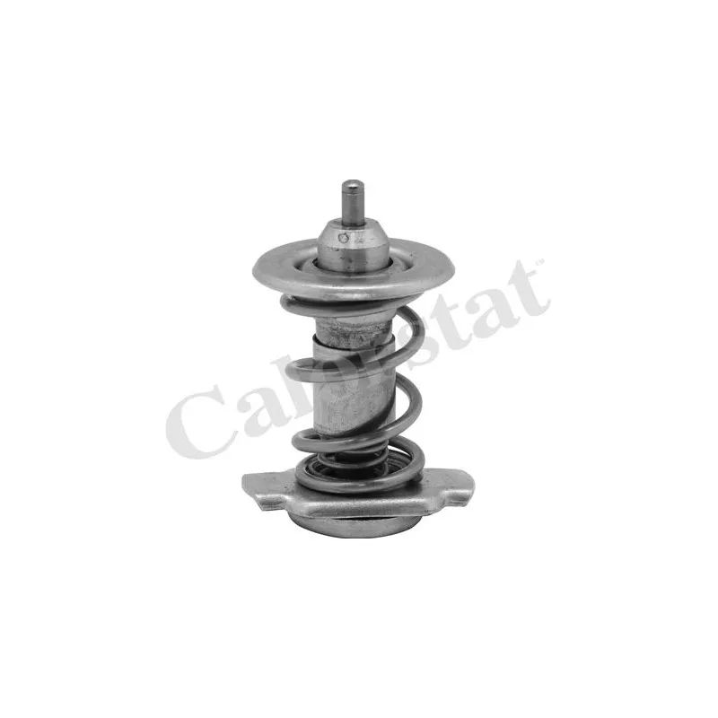 Thermostat, liquide de refroidissement CALORSTAT BY VERNET TH9780.85