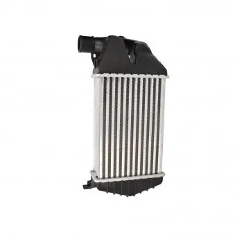 Intercooler, échangeur CLIMTEX