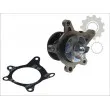 Pompe à eau KOREA D10331OEM - Visuel 1