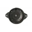 Tête d'allumeur KOREA K10300OEM - Visuel 2