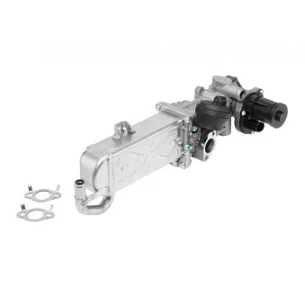 Module-EGR WAHLER 710861R