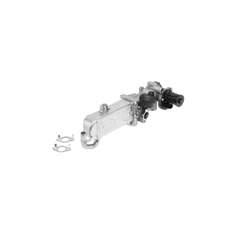 Module-EGR WAHLER 710861R