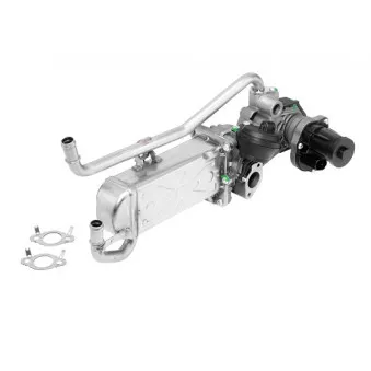 Module-EGR WAHLER 710863R