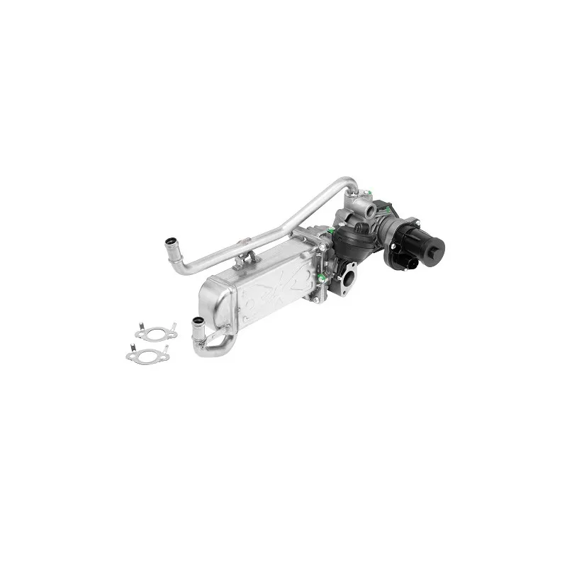 Module-EGR WAHLER 710863R