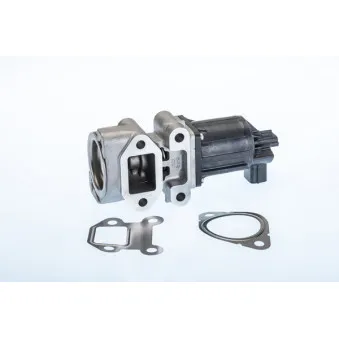 Vanne EGR WAHLER 710964R