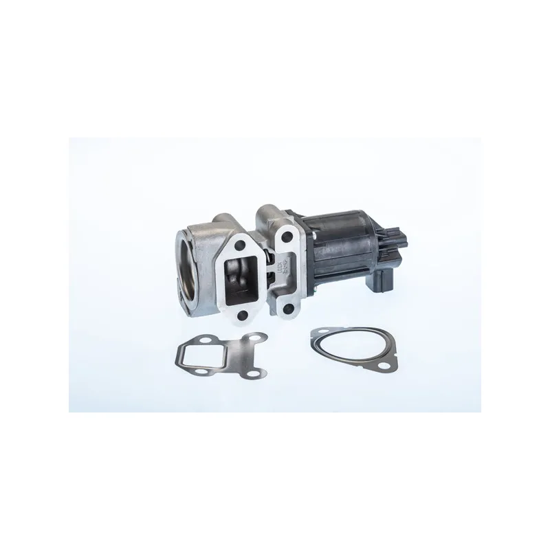 Vanne EGR WAHLER 710964R
