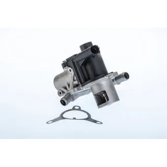Vanne EGR WAHLER 710965R