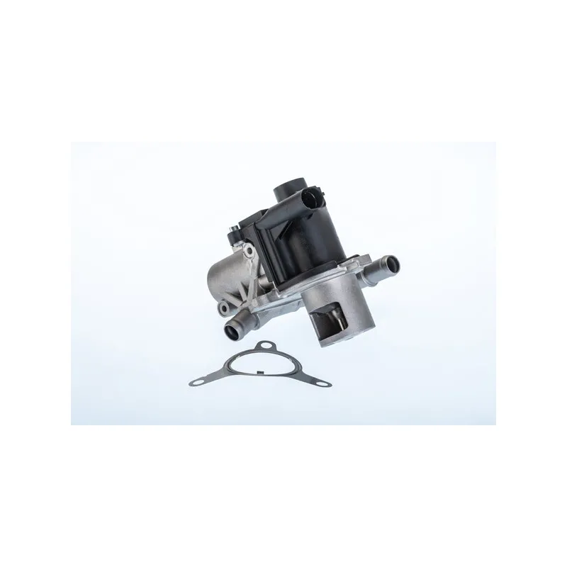Vanne EGR WAHLER 710965R