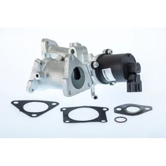 Vanne EGR WAHLER 710966R
