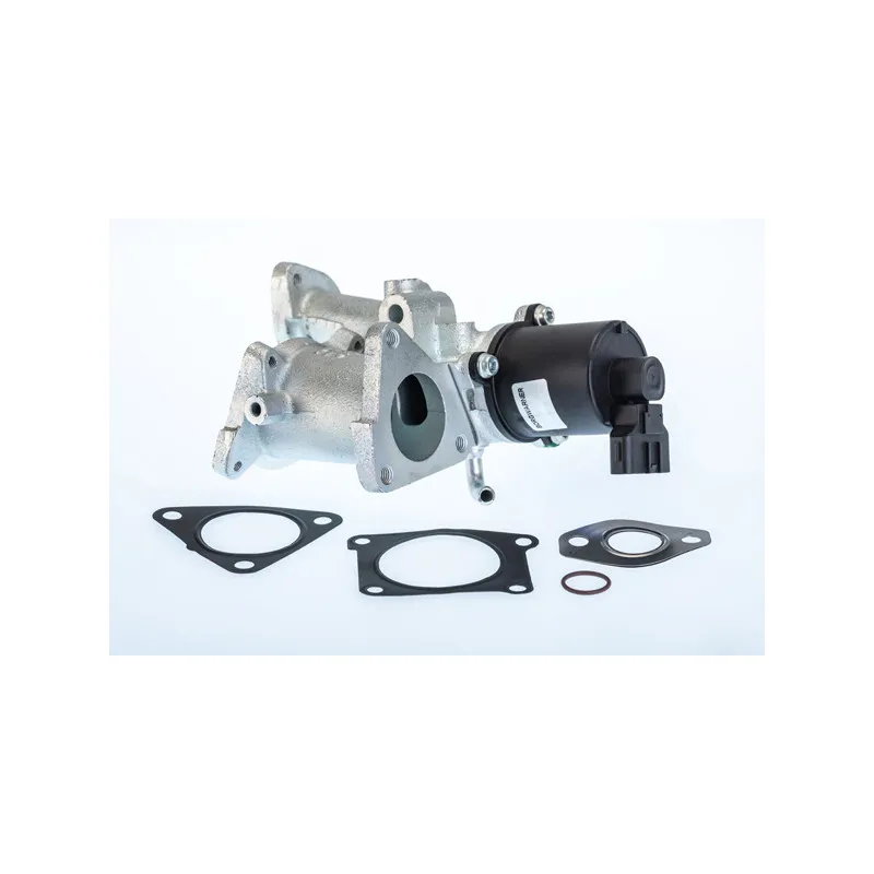 Vanne EGR WAHLER 710966R