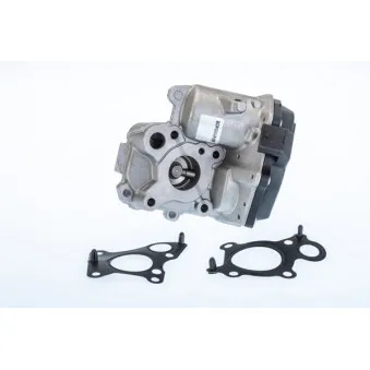 Vanne EGR WAHLER 710967R