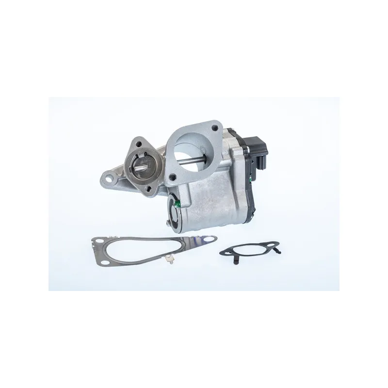 Vanne EGR WAHLER 710968R