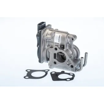 Vanne EGR WAHLER 710969R