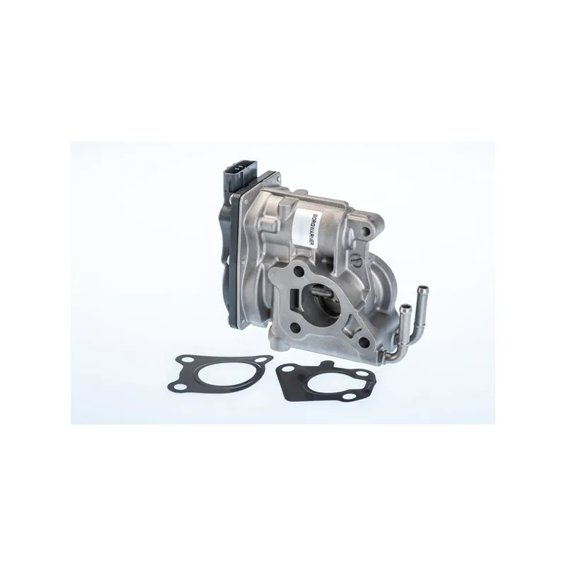 Vanne EGR WAHLER 710969R
