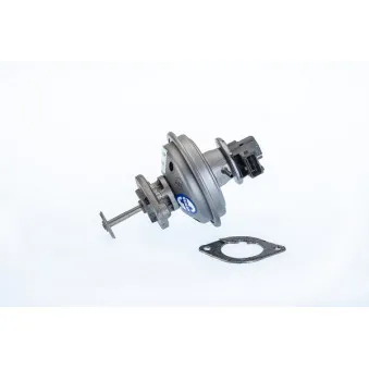 Vanne EGR WAHLER 710970R