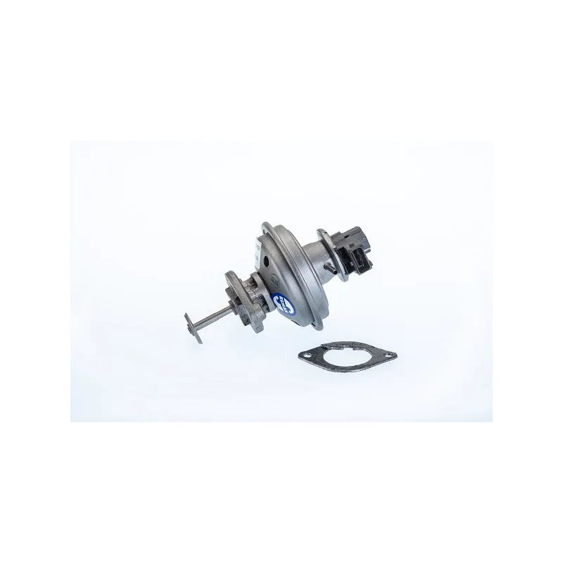 Vanne EGR WAHLER 710970R