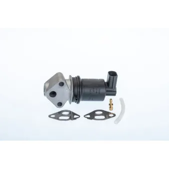 Vanne EGR WAHLER 710971R
